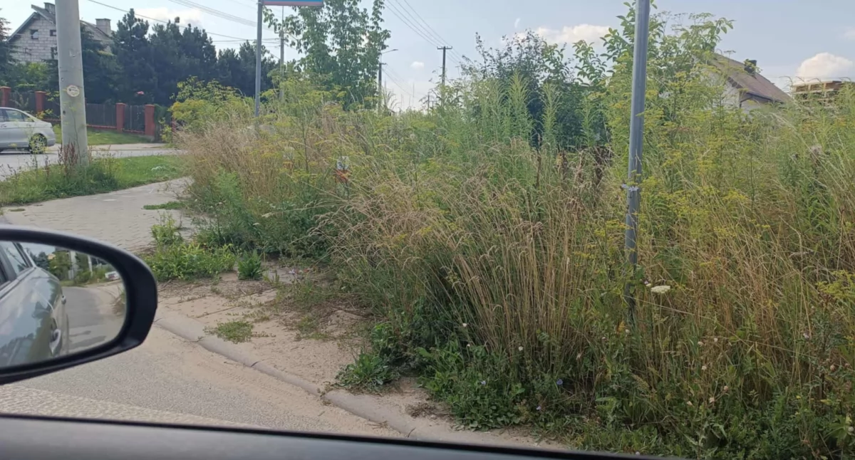 Czy tak powinny wyglądać ścieżki rowerowe w stolicy rowerowej?