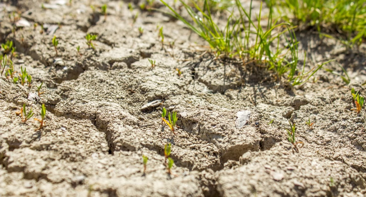 Gminy w powiecie łosickim muszą budować nowe ujęcia wody, bo zmiany klimatyczne i permanentne susze…