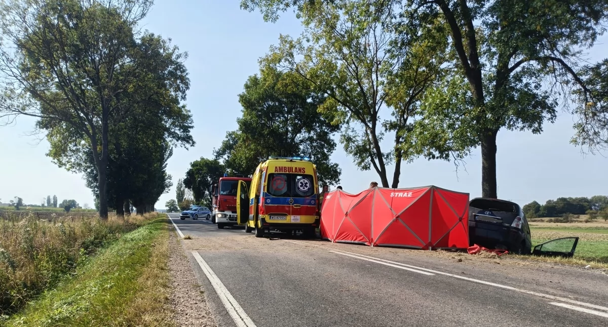 Śmiertelny wypadek w Ostromęczynie