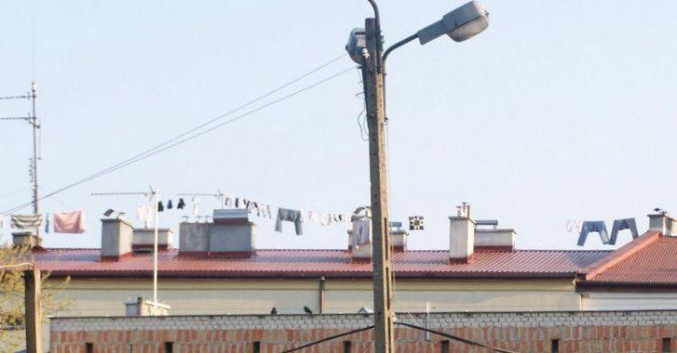 Centrum Miasta Siedlce (zdjęcie)