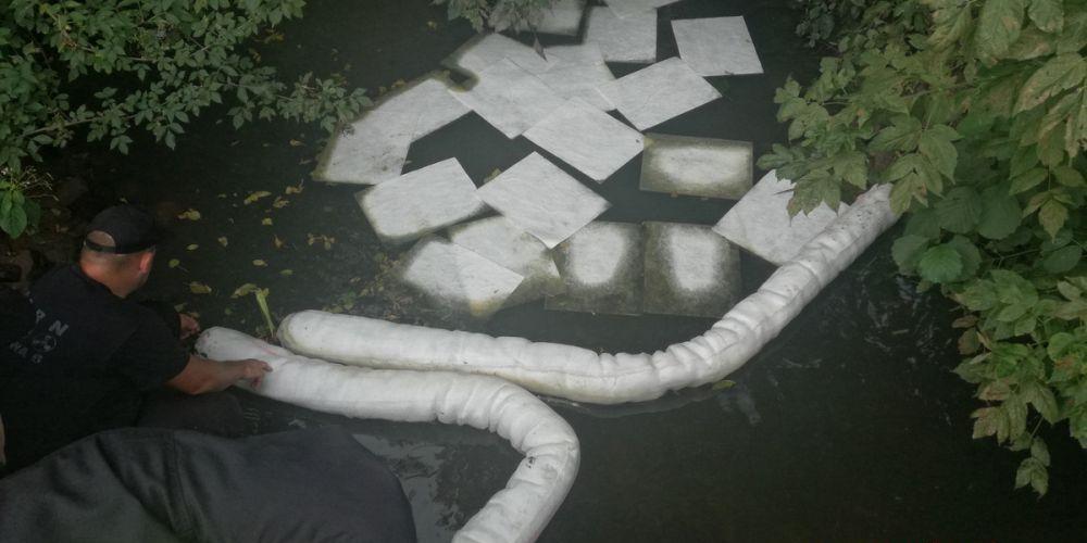 Srebrna w oleju napędowym