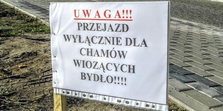 Nowy Świat