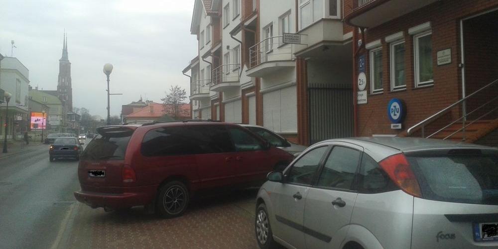 Łoś parkingowy