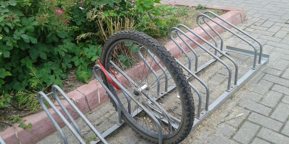 Bezczelność pod marketem