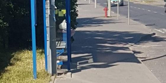 Droga rowerowa - jest czy nie?
