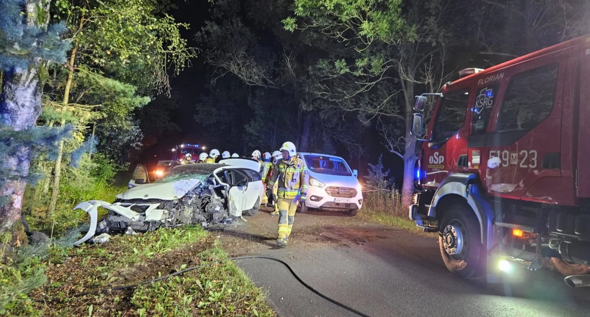 Wypadek w Brzozowicy. Dwie osoby poszkodowane przetransportowane do szpitala