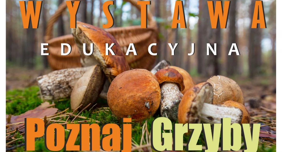 Siedlce: wystawa edukacyjna „Poznaj grzyby, unikniesz zatrucia”