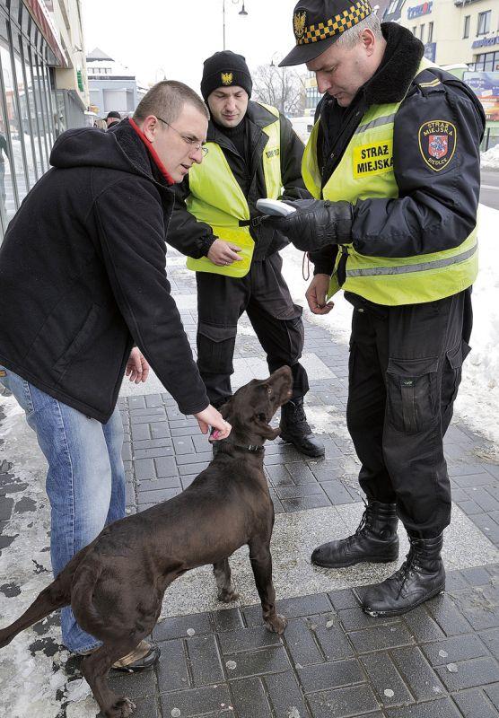 Czipy do kontroli, proszę