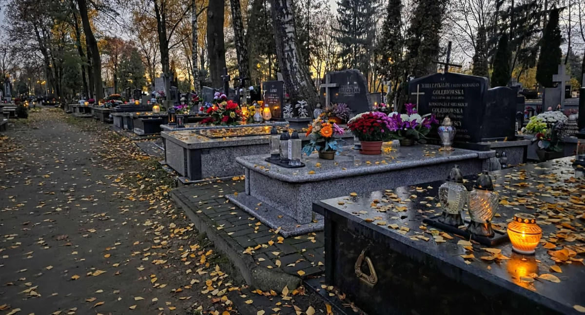 MPK uruchamia specjalne linie na Wszystkich Świętych. Łatwiejszy dojazd na siedleckie cmentarze