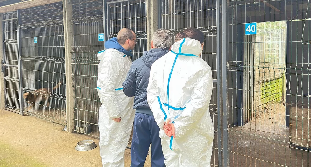 Wojewoda po kontroli schroniska w Sobolewie: Nie potwierdzamy doniesień o dramatycznej sytuacji zwierząt
