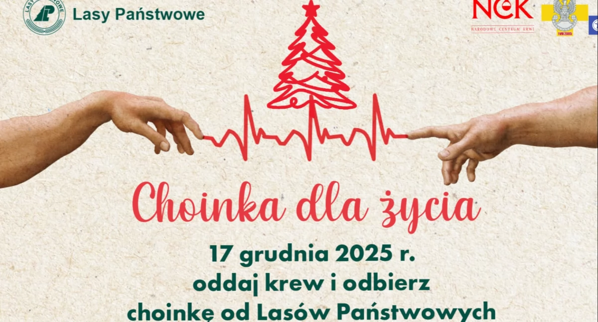 Siedlce: Oddaj krew i odbierze choinkę! 