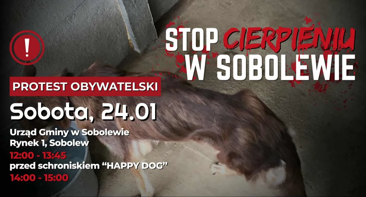 Będą protestować pod schroniskiem w Sobolewie!