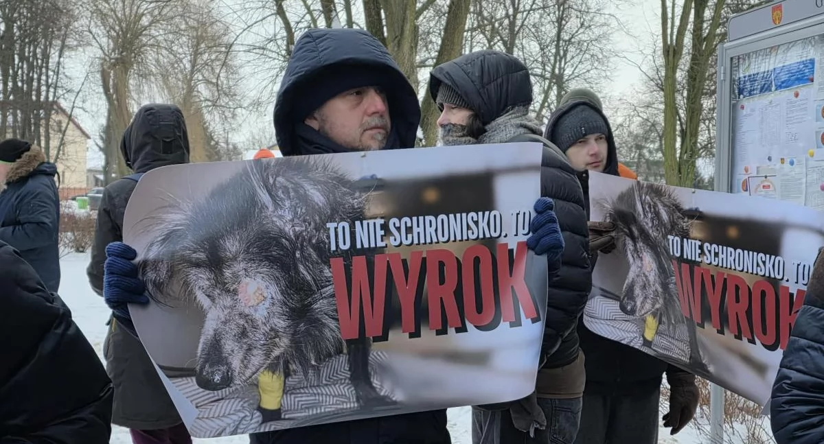 Sobolew: schronisko zamknięte. Trwa walka o życie ponad 200 zwierząt. Ruszyła pilna zbiórka