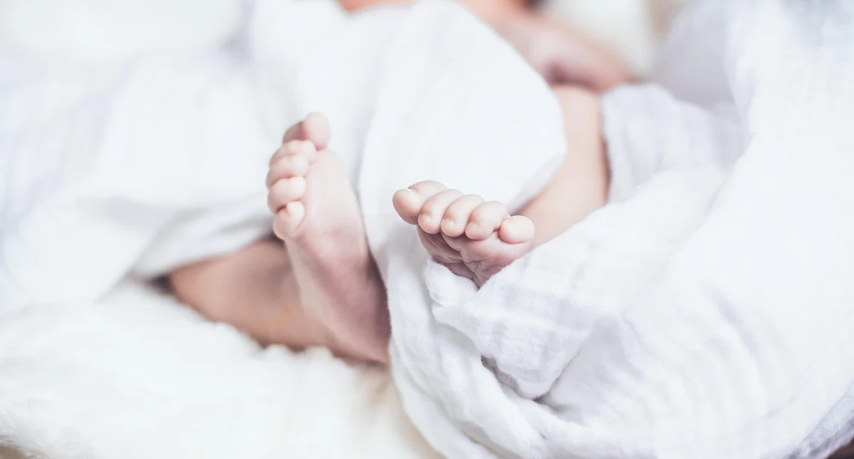 Mniej urodzeń, więcej rozwodów. Demografia w Siedlcach i okolicznych gminach