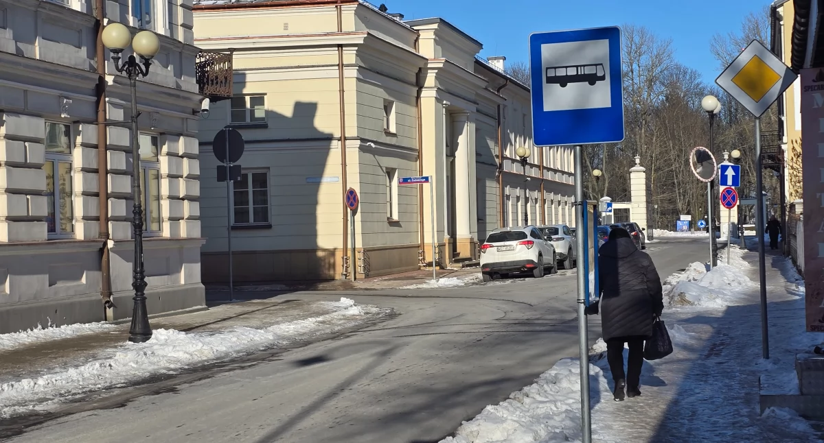 Bezpartyjni podzieleni? 