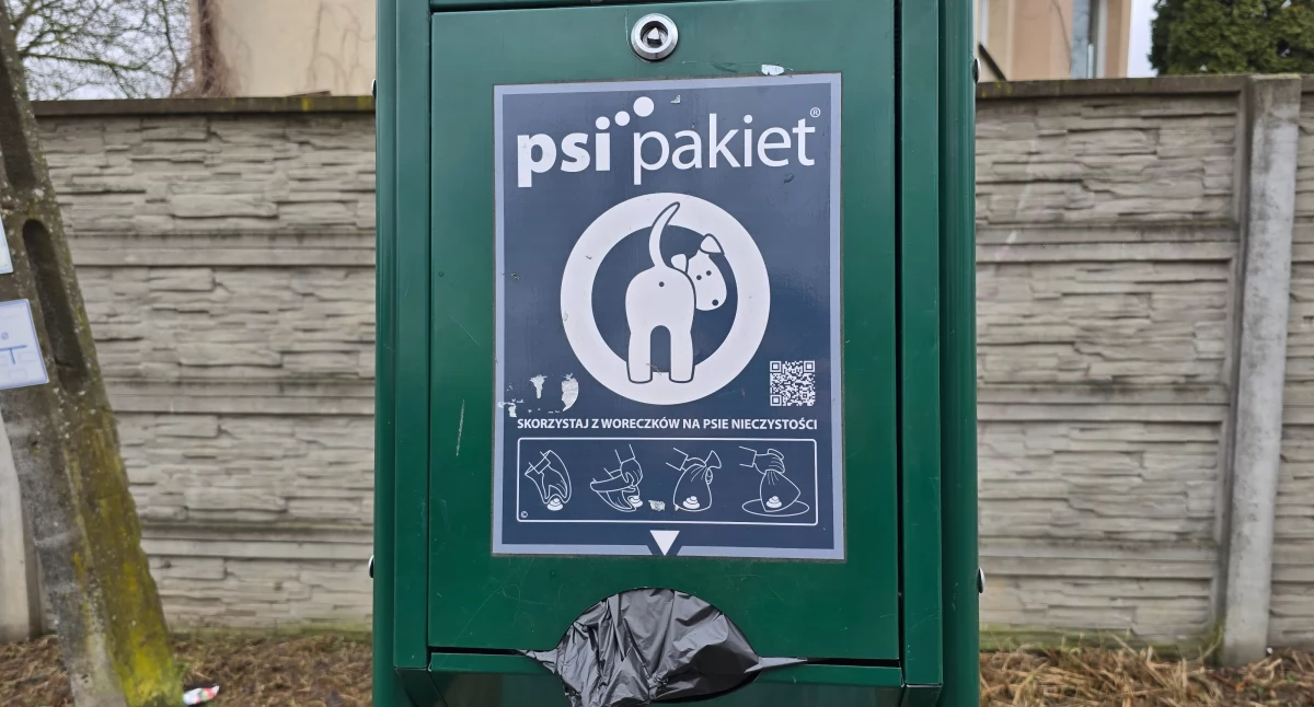 Mieszkanki alarmują: „Kupa na kupie. To jest po prostu wstyd!”