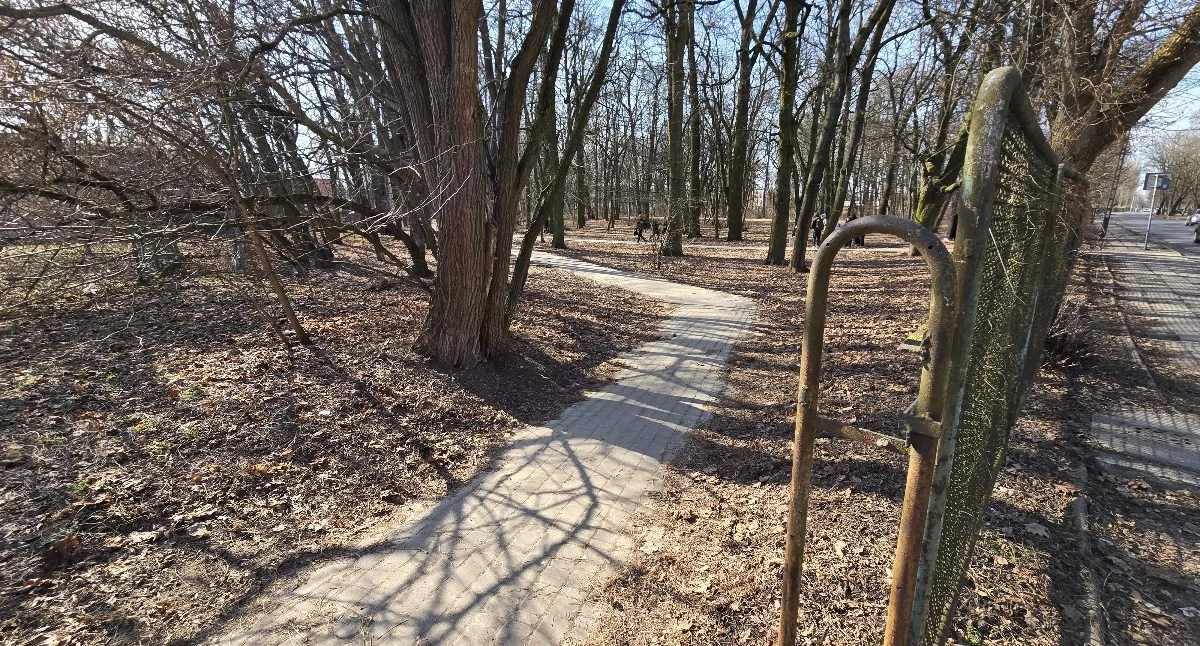 Nowy rozdział dla Starego Parku w Siedlcach. Zieleń ma przeciwdziałać skutkom zmian klimatu