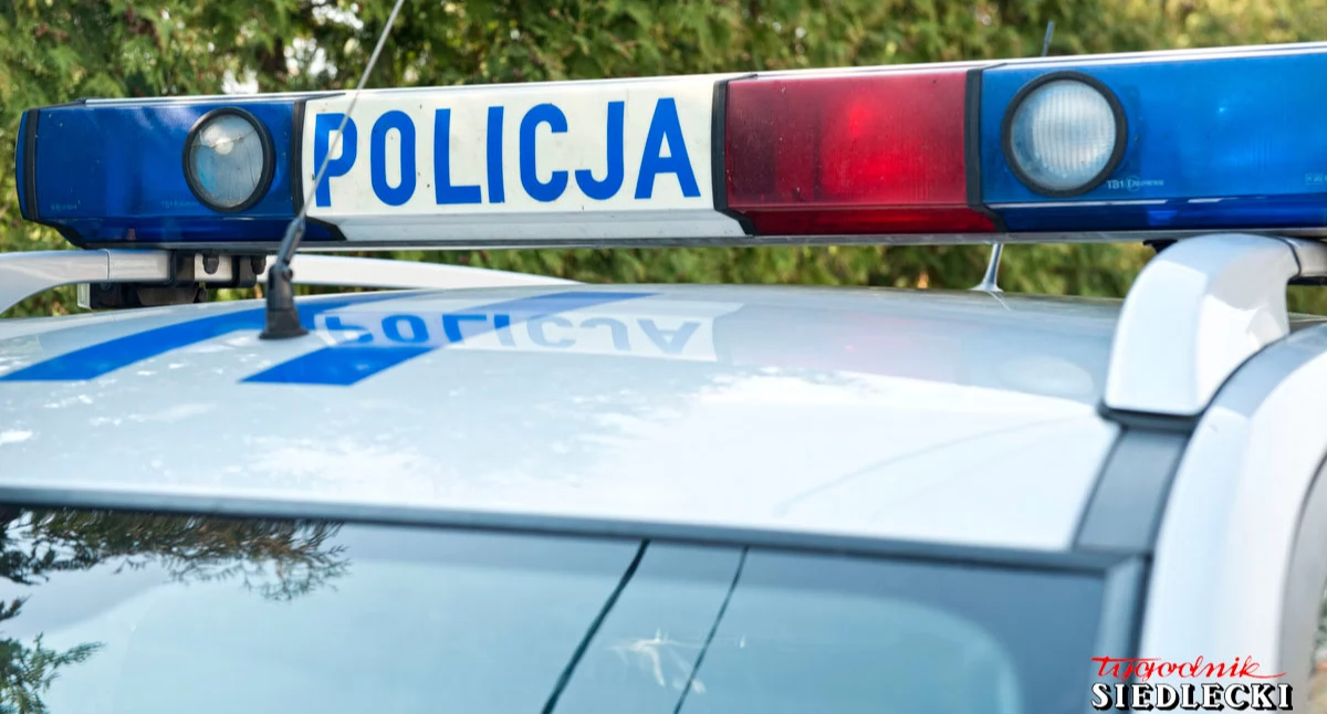 Pijany mężczyzna zniszczył figurę i zaatakował policjantów. Grozi mu do 5 lat więzienia (film)