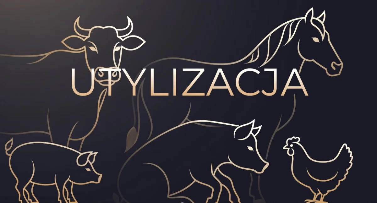 Rozbudowa strefy przemysłowej w gminie Skórzec? Mieszkańcy protestują!
