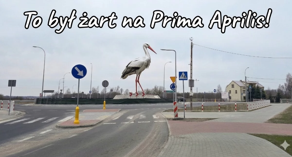 PRIMA APRILIS! Bocian na rondzie to był żart