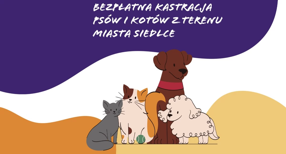 Bezpłatna kastracja psów i kotów w Siedlcach