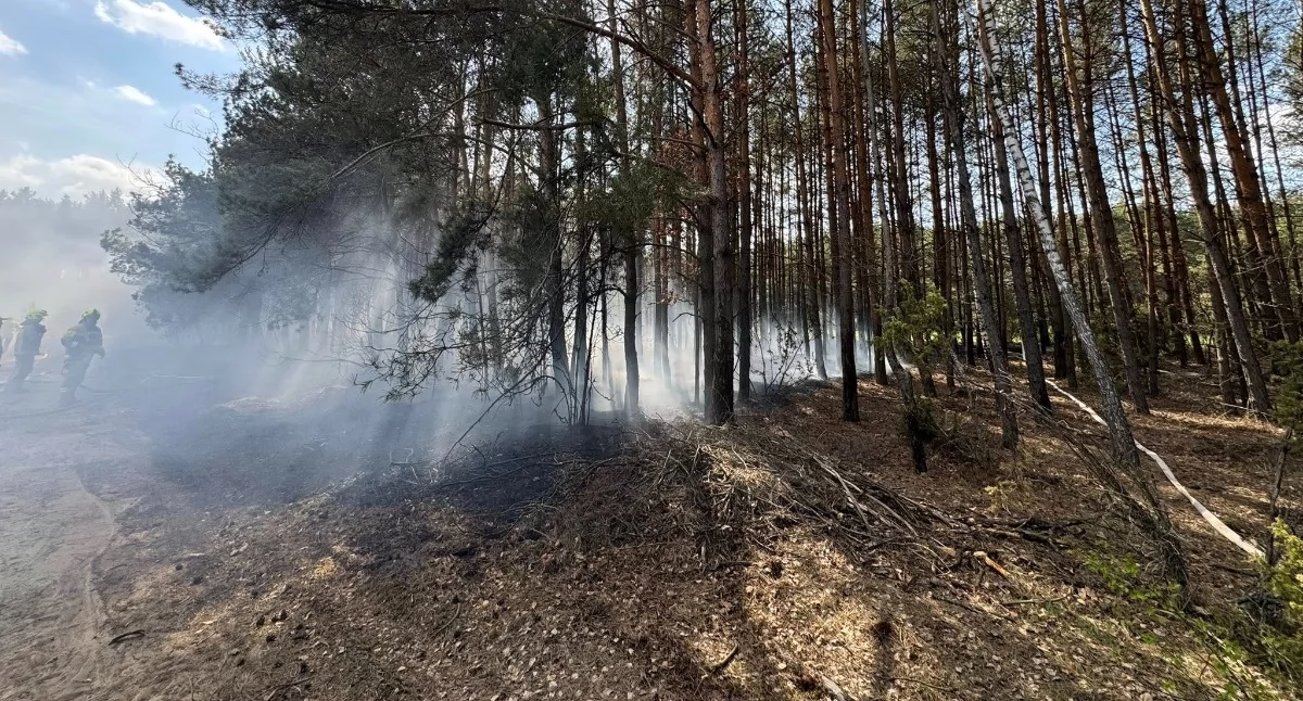 Seria pożarów na terenie gminy Skórzec. Strażacy apelują: Bądźcie czujni i zwracajcie uwagę na podejrzane osoby! 