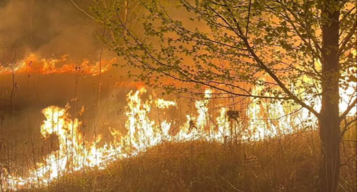 Seria pożarów w gminie Skórzec. 36 interwencji, nocne pożary i podejrzenia podpaleń