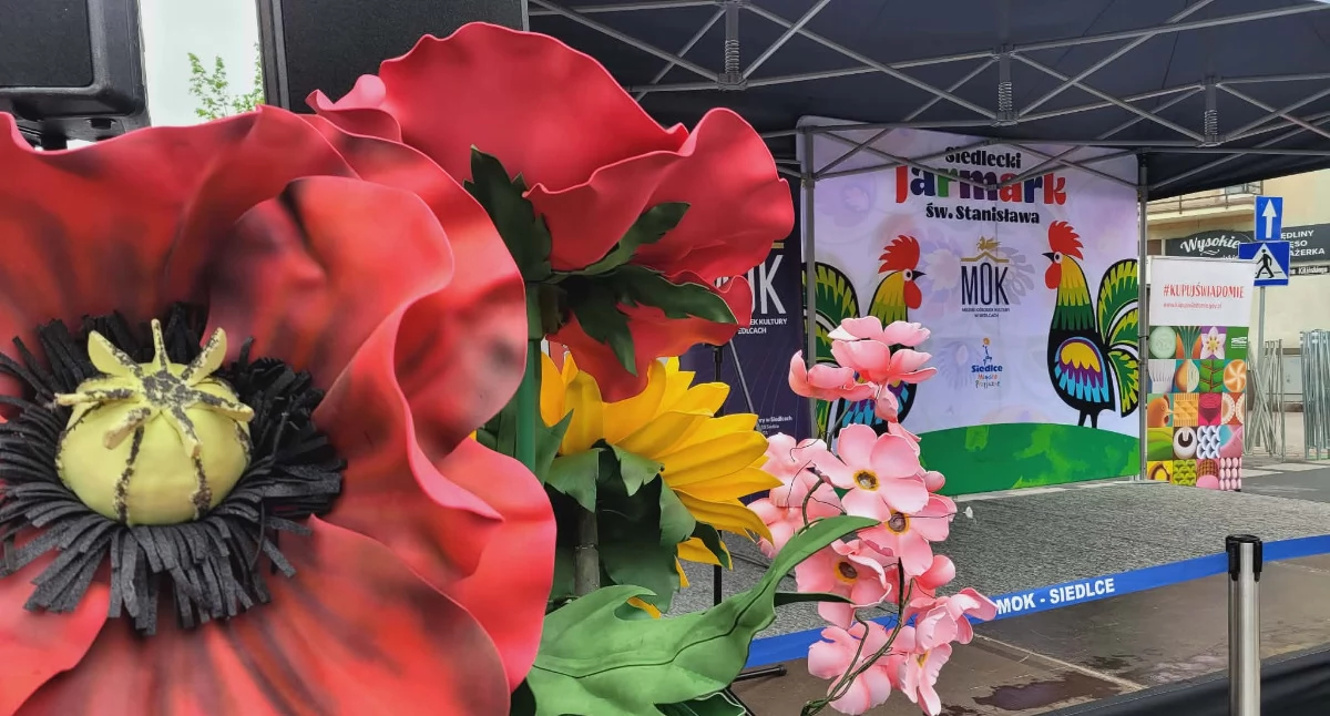 Ruszył XVII Jarmark św. Stanisława w Siedlcach. Centrum miasta wypełniły stoiska, muzyka i regionalne smaki