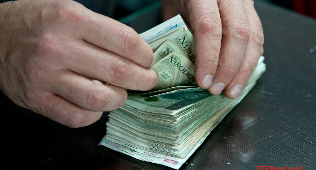 Mieszkaniec powiatu siedleckiego stracił 300 tys. zł. Oszuści podszyli się pod analityków finansowych