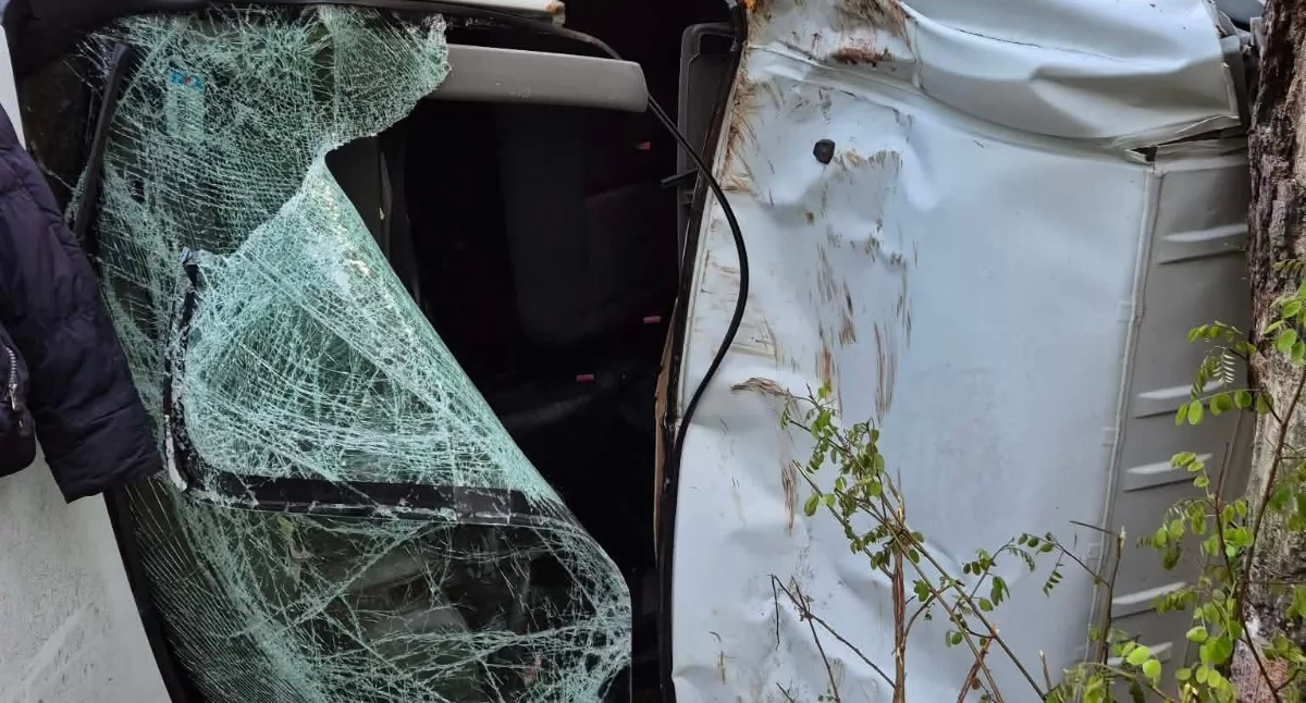 Wypadek w Jaźwinach na DK76. Bus uderzył w drzewo