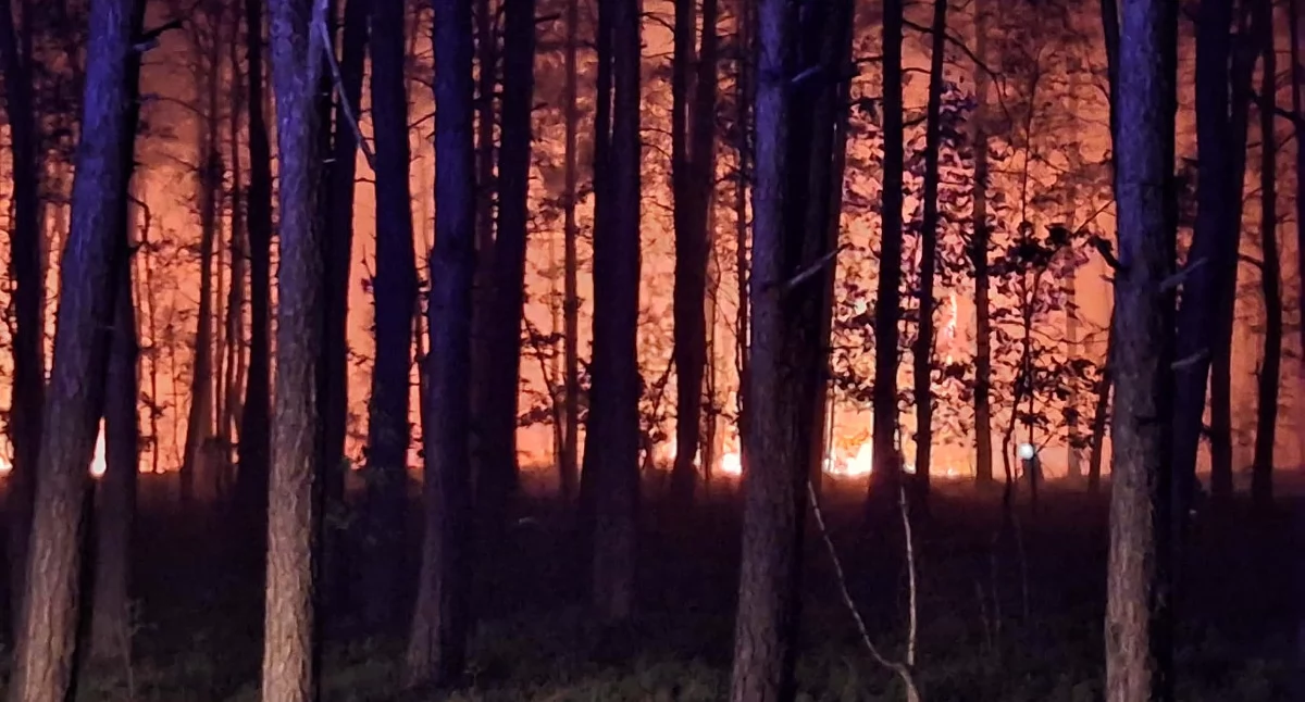 Ponad 100 hektarów lasu w ogniu. Trwa jedna z największych akcji gaśniczych na Mazowszu