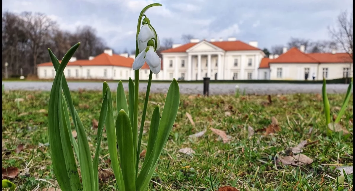 Uniwersytet w Siedlcach na 59. miejscu w Rankingu Uczelni Wyższych Work & Science Forum 2026