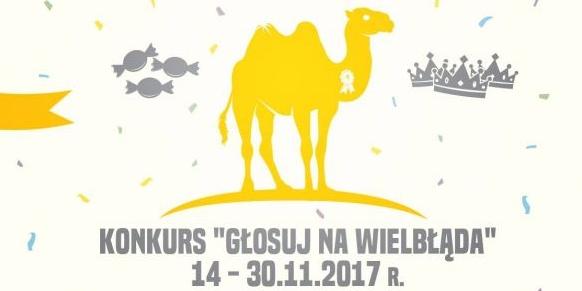 Czy wielbłąd przyjedzie do Węgrowa?