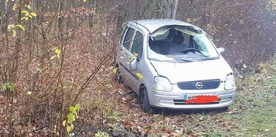 Opel uderzył w łosia
