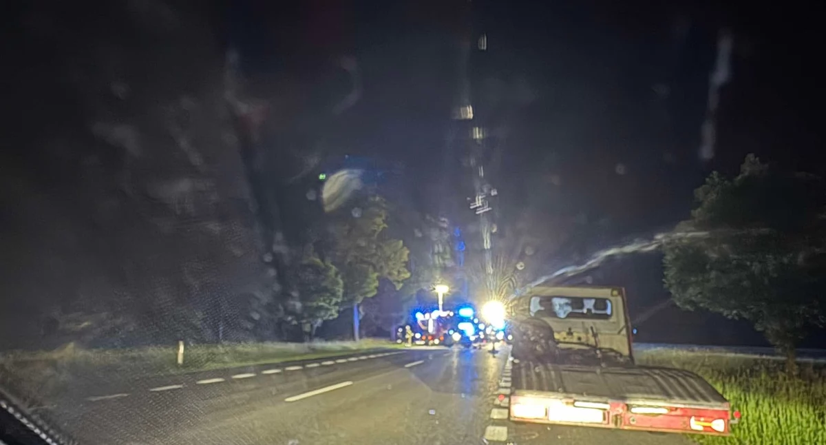 Zderzenie z łosiem na DK2. Kierowca trafił do szpitala
