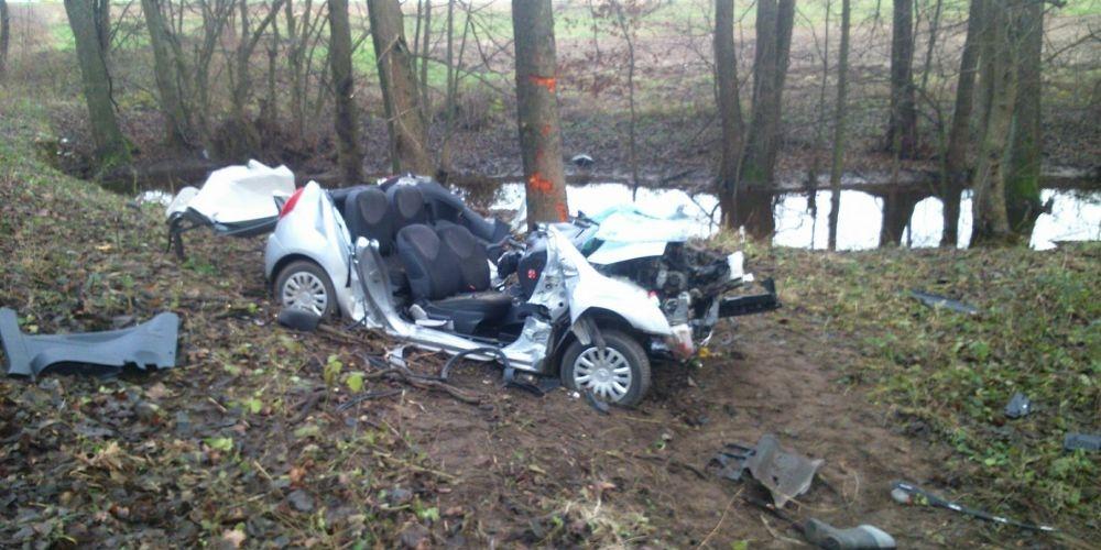 Citroen uderzył w drzewo