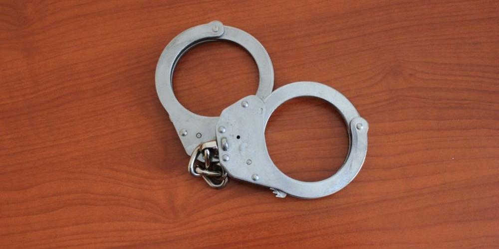 15 lat więzienia za kradzieże, paserstwo i znęcanie się nad psem?