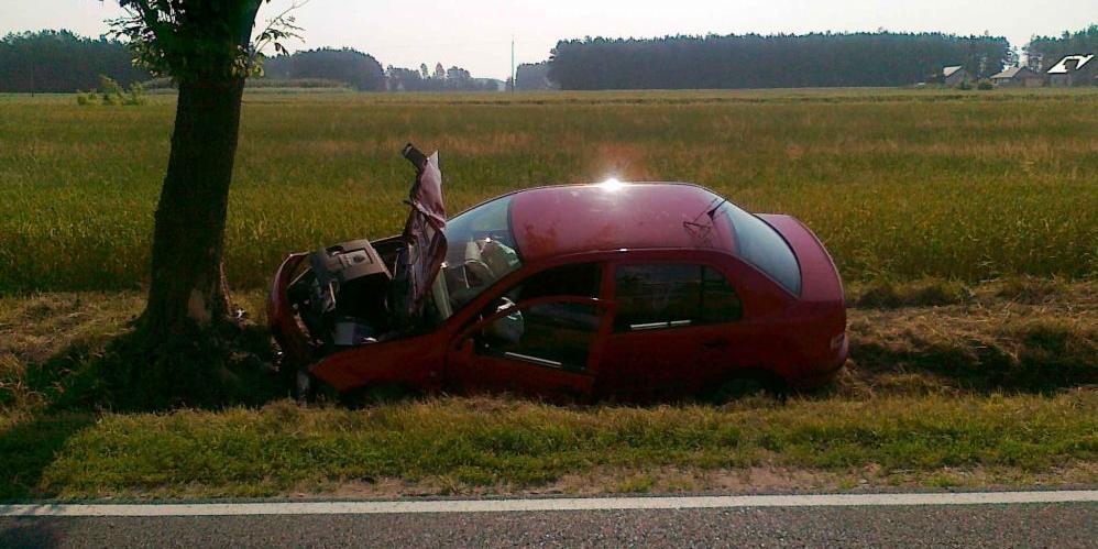Skodą w drzewo