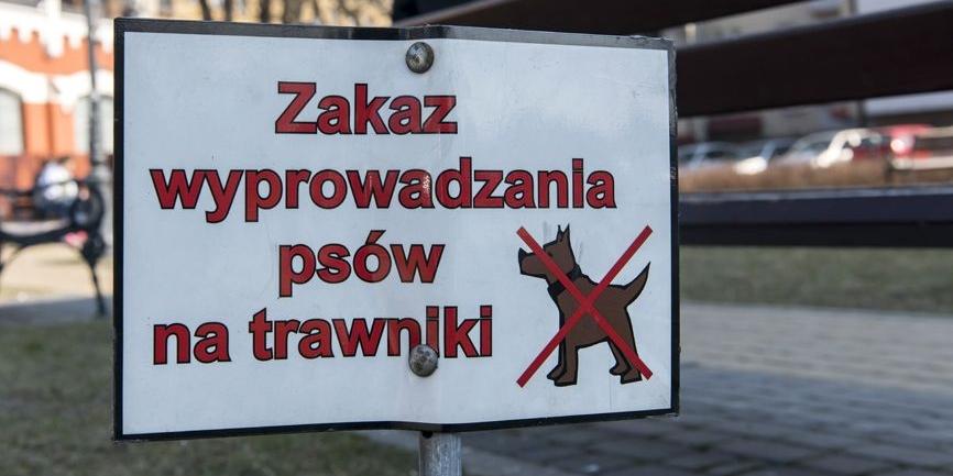 Zakazy, nakazy, kupy...