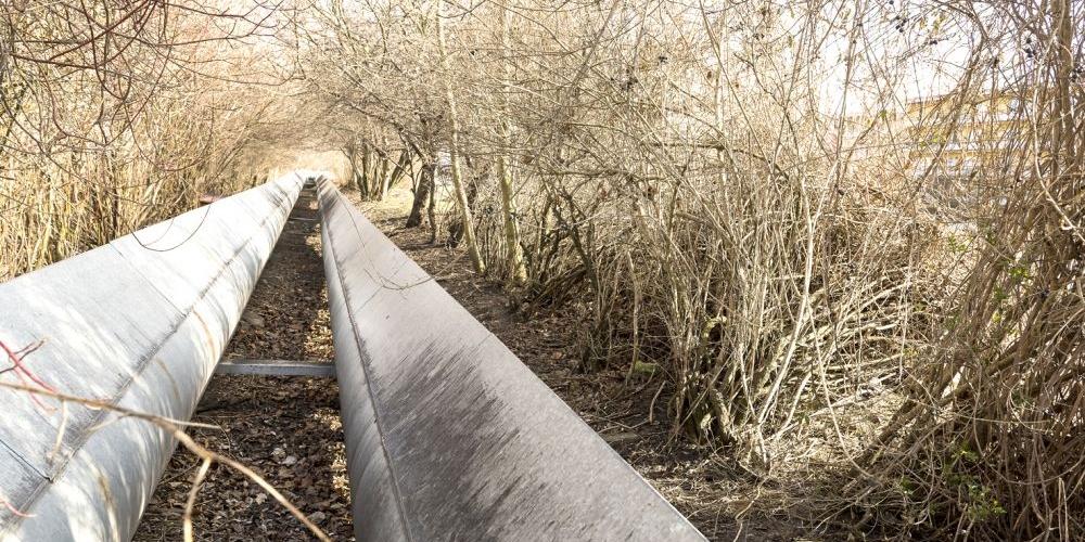 Porządnie tu tylko od święta
