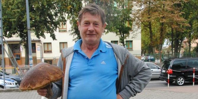 Są w lasach grzyby czy nie ma?