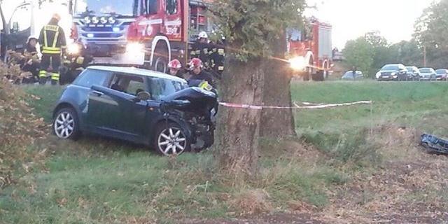 Samochód uderzył w drzewo