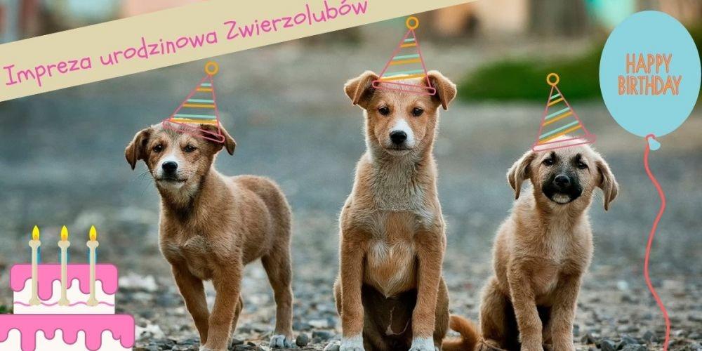 Urodziny Zwierzolubów