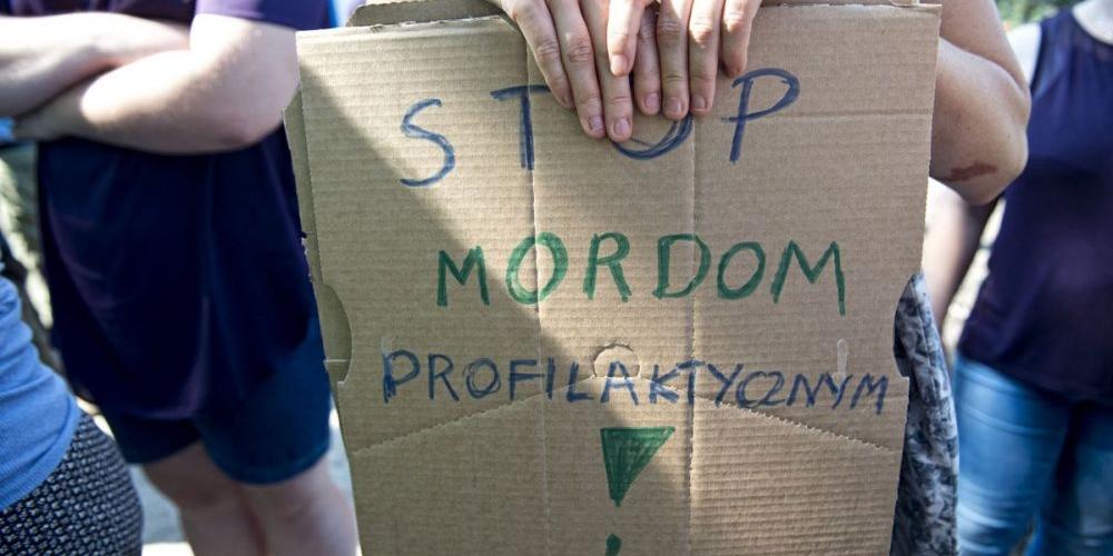 Ludzie bronili dzików