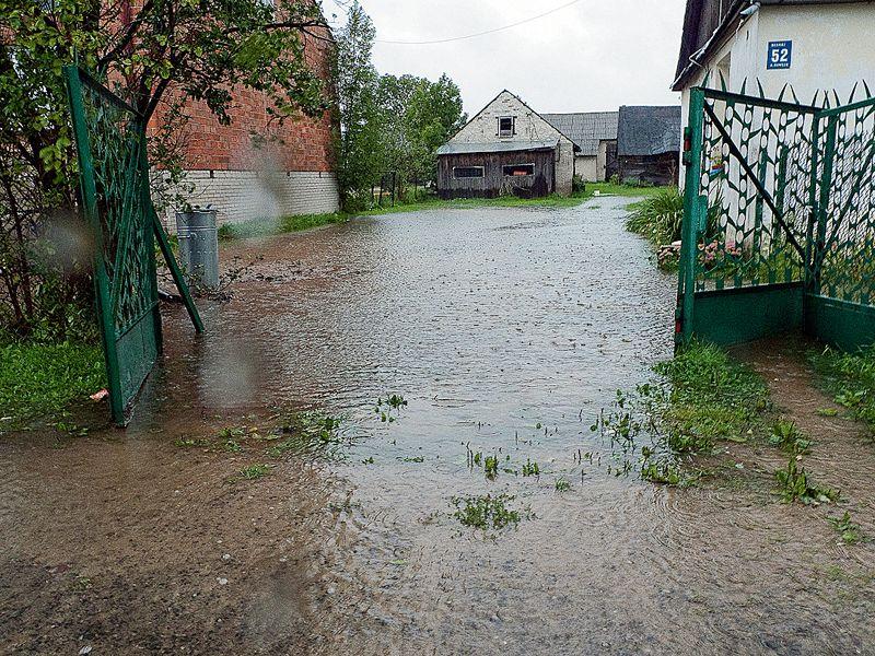 Jeszcze popływają...