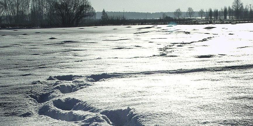 Rodzina nie godzi się na taką wersję