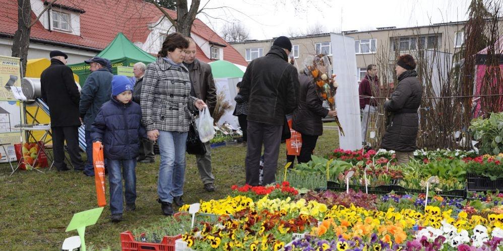 Wystawią i pohandlują