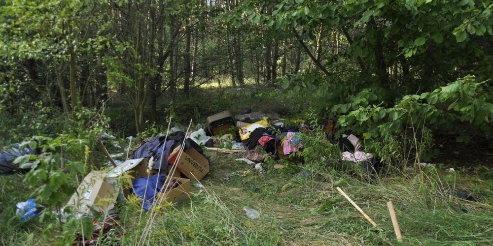 Nie takie widoki chce się widzieć w lesie