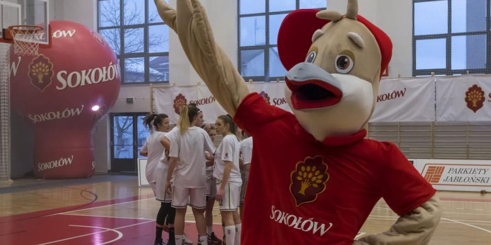 Ligowy Sokołów Podlaski