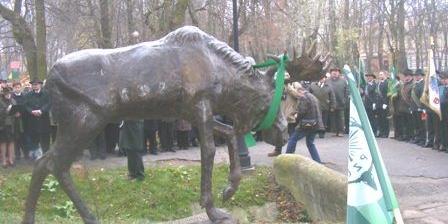 Łoś jubileuszowy